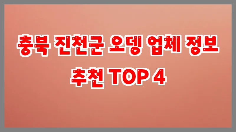 충북 진천군 오뎅