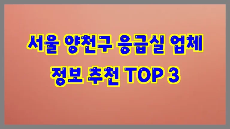 서울 양천구 응급실 업체 정보 추천 TOP 3