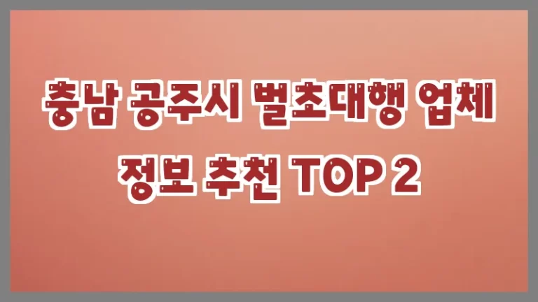충남 공주시 벌초대행 업체 정보 추천 TOP 2