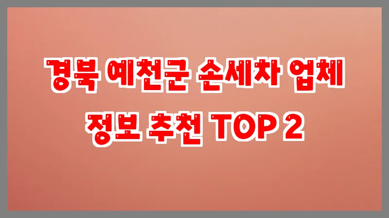 경북 예천군 손세차 업체 정보 추천 TOP 2