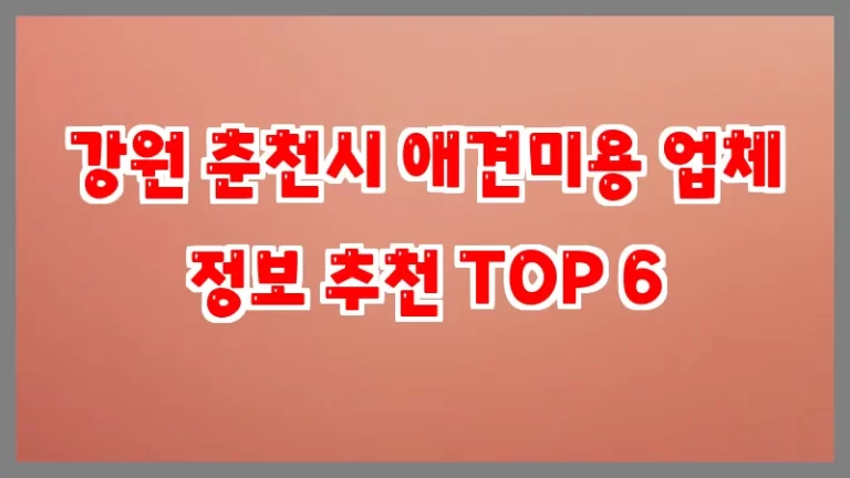 강원 춘천시 애견미용 업체 정보 추천 TOP 6