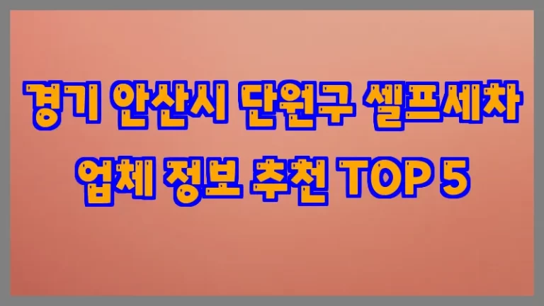 경기 안산시 단원구 셀프세차 업체 정보 추천 TOP 5