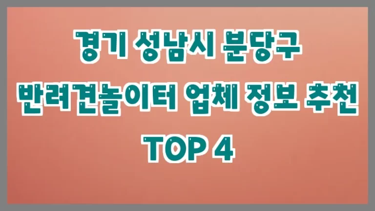 경기 성남시 분당구 반려견놀이터 업체 정보 추천 TOP 4