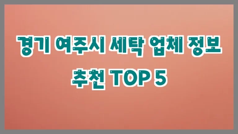 경기 여주시 세탁 업체 정보 추천 TOP 5
