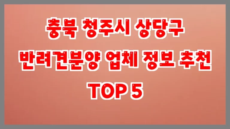 충북 청주시 상당구 반려견분양 업체 정보 추천 TOP 5