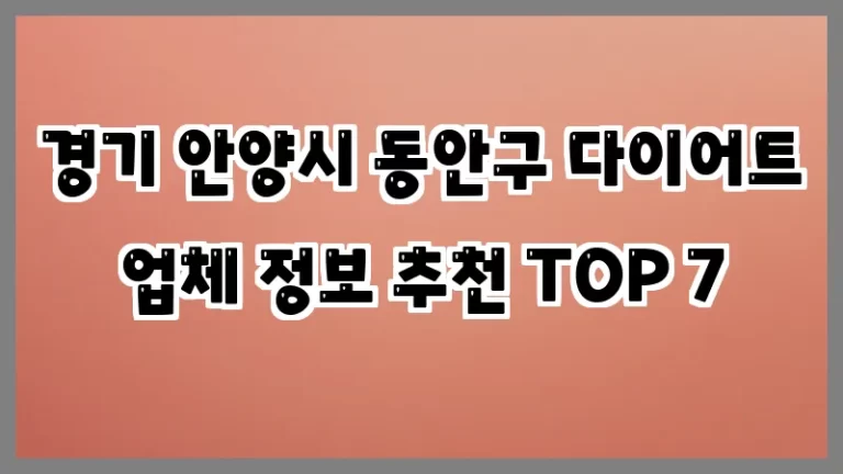 경기 안양시 동안구 다이어트 업체 정보 추천 TOP 7
