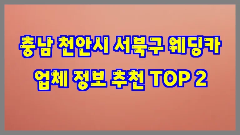충남 천안시 서북구 웨딩카 업체 정보 추천 TOP 2
