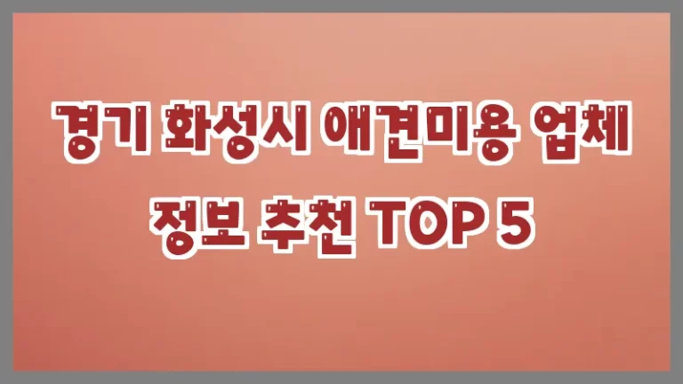 경기 화성시 애견미용 업체 정보 추천 TOP 5