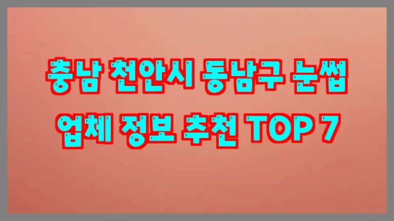 충남 천안시 동남구 눈썹 업체 정보 추천 TOP 7