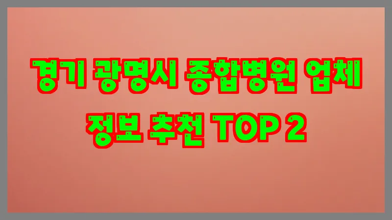 경기 광명시 종합병원