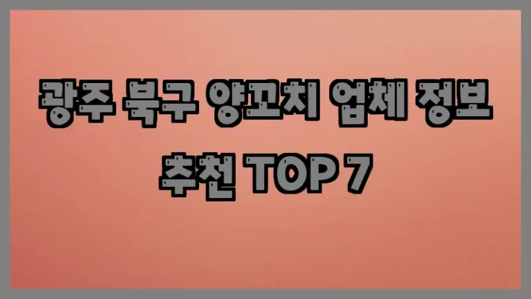 광주 북구 양꼬치 업체 정보 추천 TOP 7