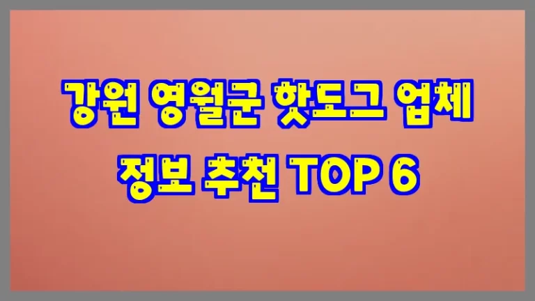 강원 영월군 핫도그 업체 정보 추천 TOP 6