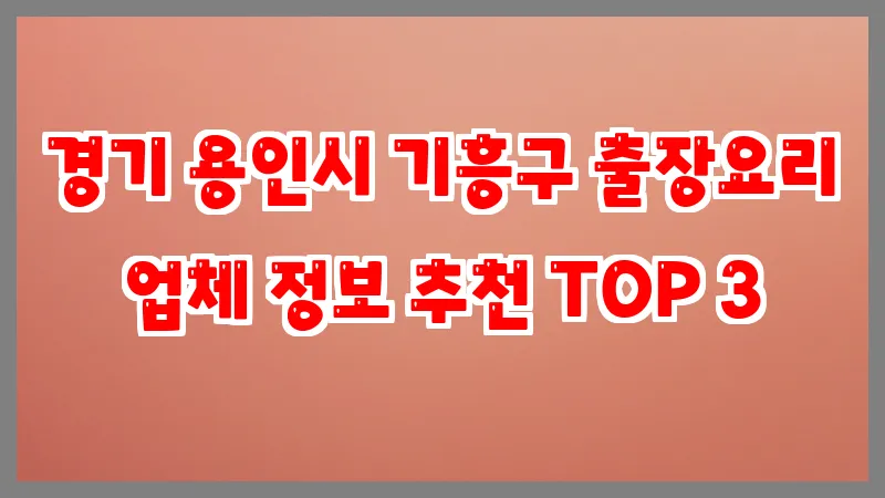 경기 용인시 기흥구 출장요리