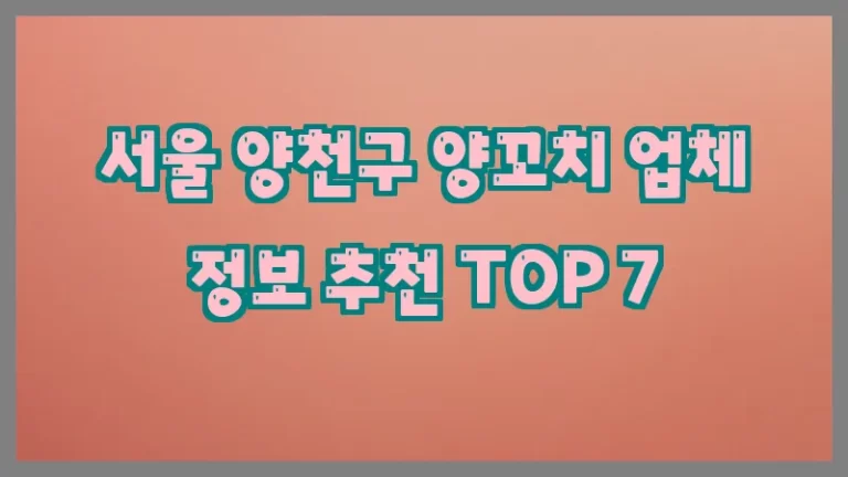 서울 양천구 양꼬치 업체 정보 추천 TOP 7