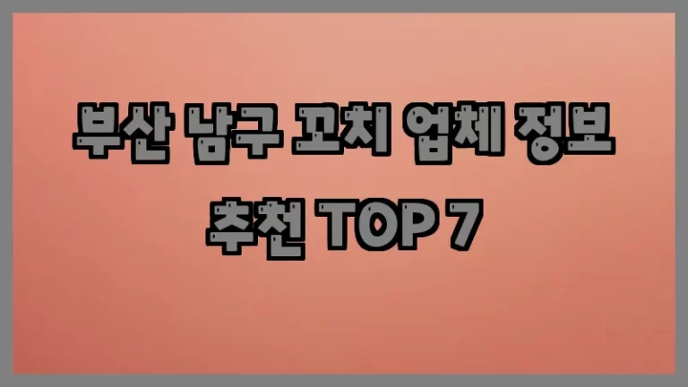 부산 남구 꼬치 업체 정보 추천 TOP 7