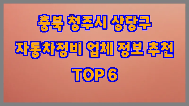 충북 청주시 상당구 자동차정비