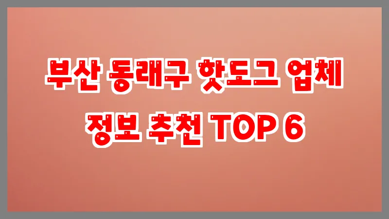 부산 동래구 핫도그