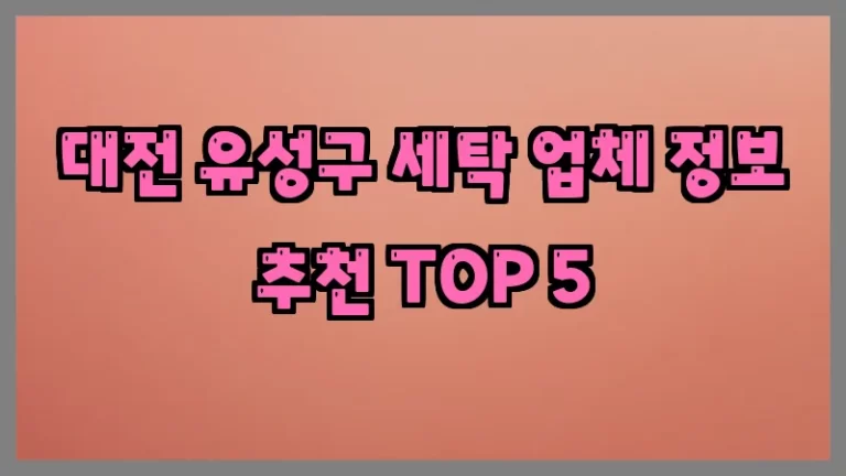 대전 유성구 세탁 업체 정보 추천 TOP 5