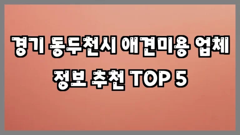 경기 동두천시 애견미용 업체 정보 추천 TOP 5