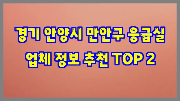 경기 안양시 만안구 응급실 업체 정보 추천 TOP 2