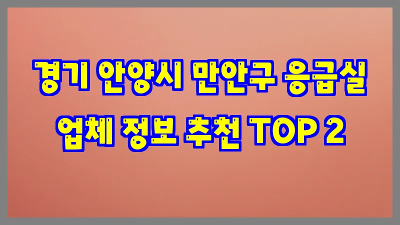 경기 안양시 만안구 응급실
