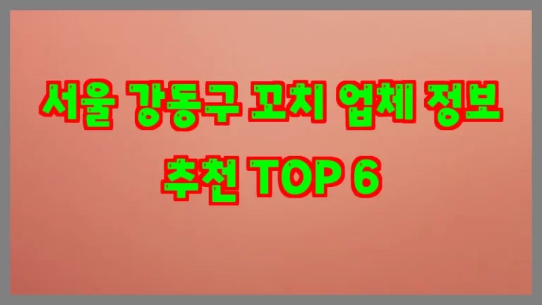 서울 강동구 꼬치 업체 정보 추천 TOP 6