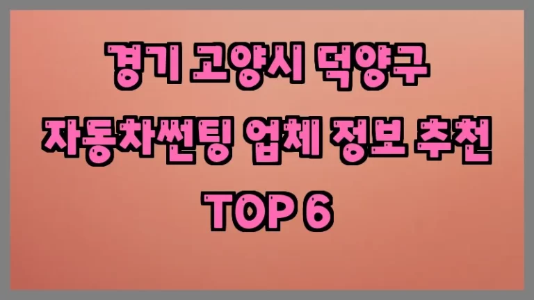 경기 고양시 덕양구 자동차썬팅 업체 정보 추천 TOP 6