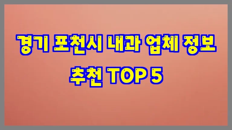 경기 포천시 내과 업체 정보 추천 TOP 5
