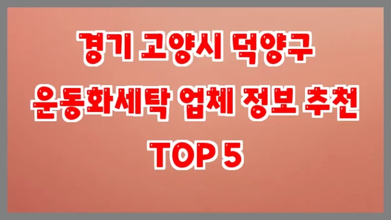 경기 고양시 덕양구 운동화세탁 업체 정보 추천 TOP 5