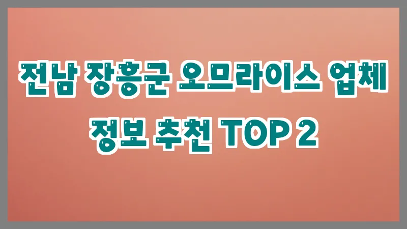 전남 장흥군 오므라이스