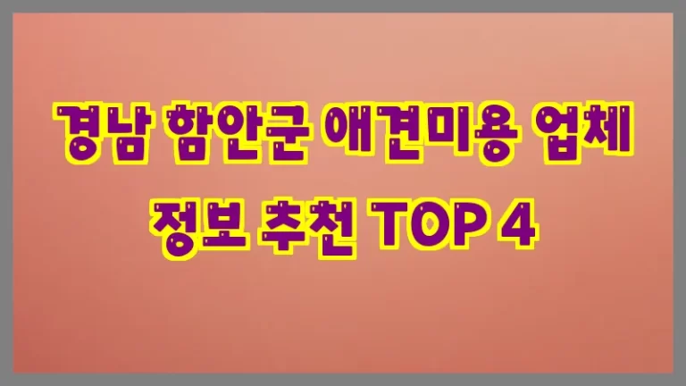 경남 함안군 애견미용 업체 정보 추천 TOP 4