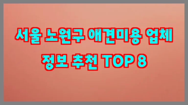 서울 노원구 애견미용 업체 정보 추천 TOP 8