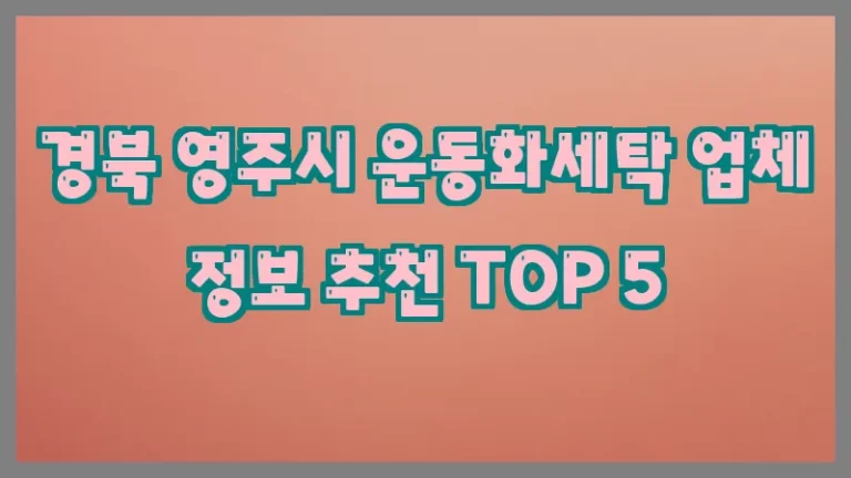 경북 영주시 운동화세탁 업체 정보 추천 TOP 5