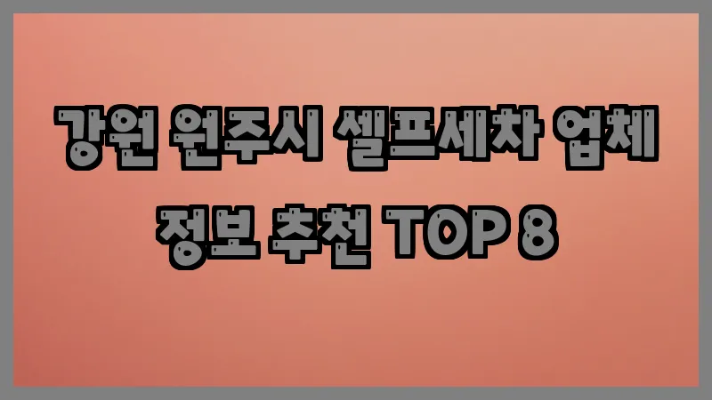 강원 원주시 셀프세차