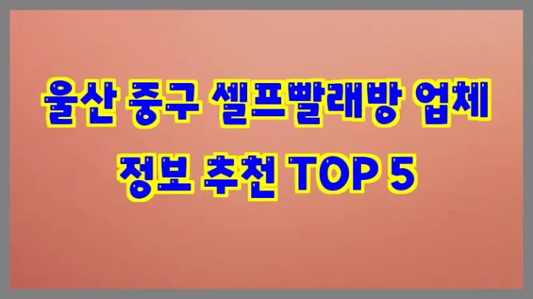 울산 중구 셀프빨래방 업체 정보 추천 TOP 5