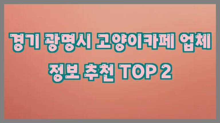 경기 광명시 고양이카페 업체 정보 추천 TOP 2