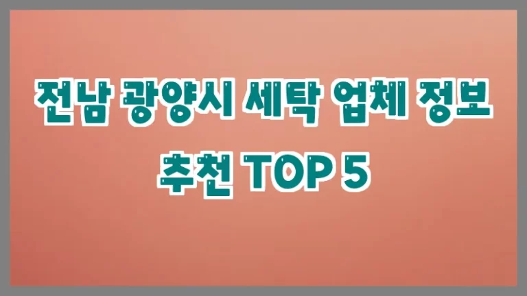 전남 광양시 세탁 업체 정보 추천 TOP 5