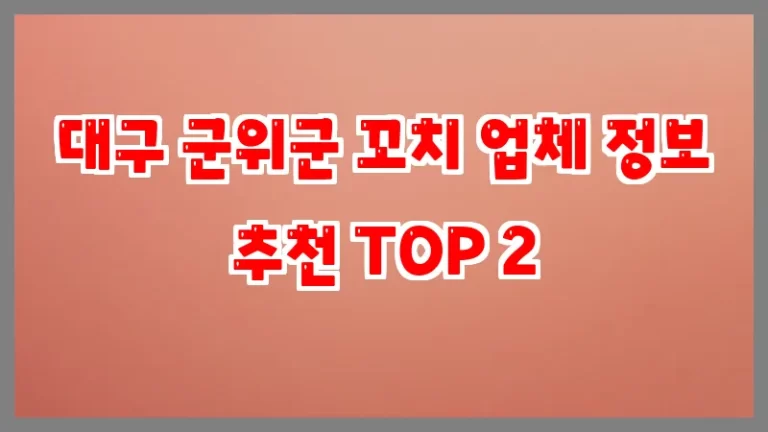 대구 군위군 꼬치 업체 정보 추천 TOP 2