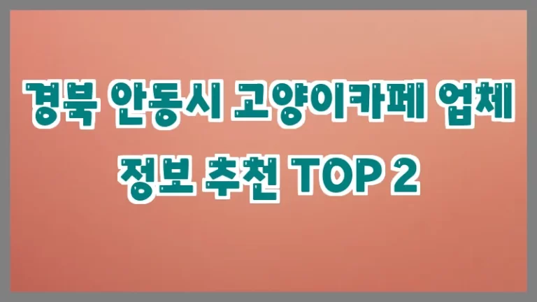 경북 안동시 고양이카페 업체 정보 추천 TOP 2