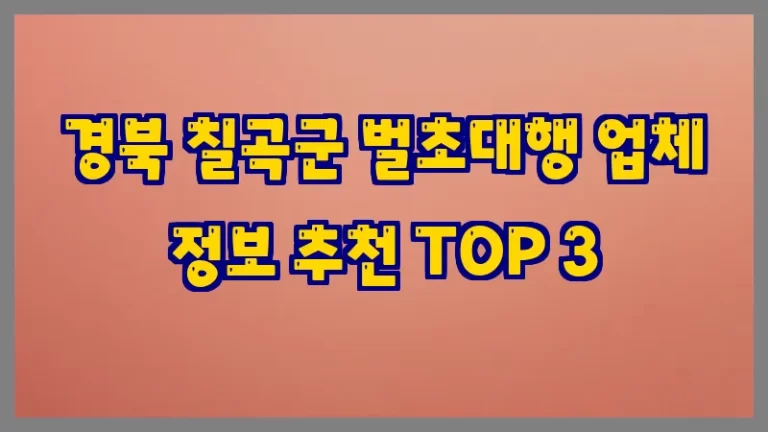 경북 칠곡군 벌초대행 업체 정보 추천 TOP 3