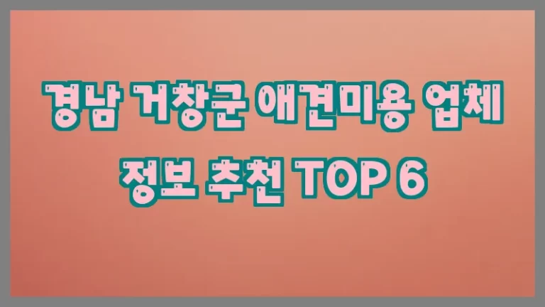 경남 거창군 애견미용 업체 정보 추천 TOP 6