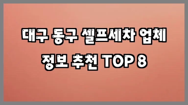 대구 동구 셀프세차 업체 정보 추천 TOP 8