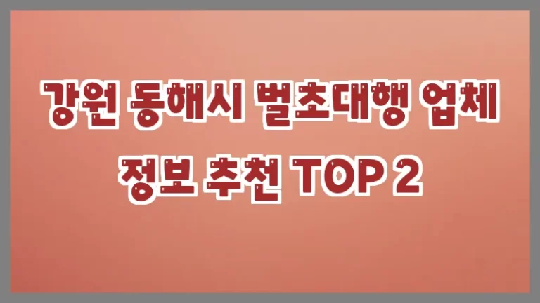 강원 동해시 벌초대행 업체 정보 추천 TOP 2