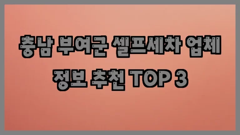 충남 부여군 셀프세차 업체 정보 추천 TOP 3
