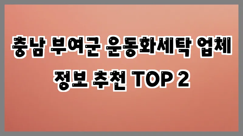 충남 부여군 운동화세탁