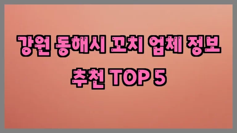 강원 동해시 꼬치 업체 정보 추천 TOP 5