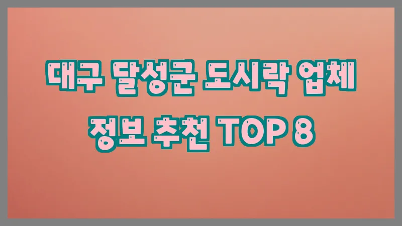 대구 달성군 도시락