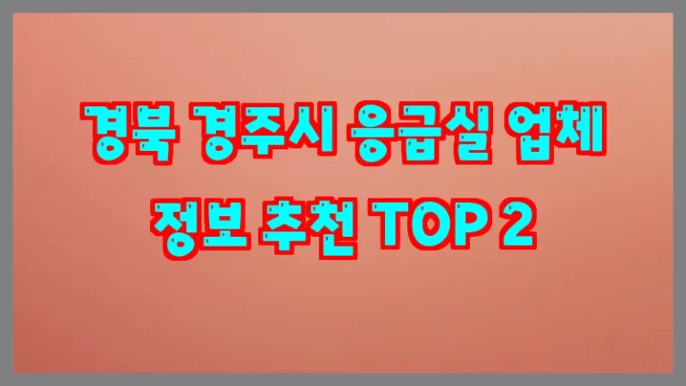 경북 경주시 응급실 업체 정보 추천 TOP 2