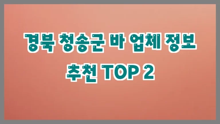 경북 청송군 바 업체 정보 추천 TOP 2