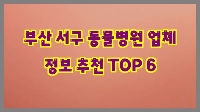 부산 서구 동물병원 업체 정보 추천 TOP 6